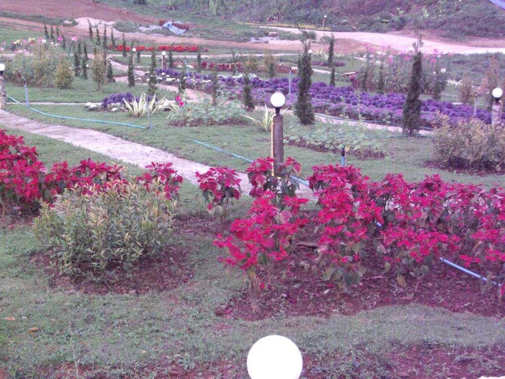 Phu Mok Dok Mai Resort Wiang Kaen Luaran gambar
