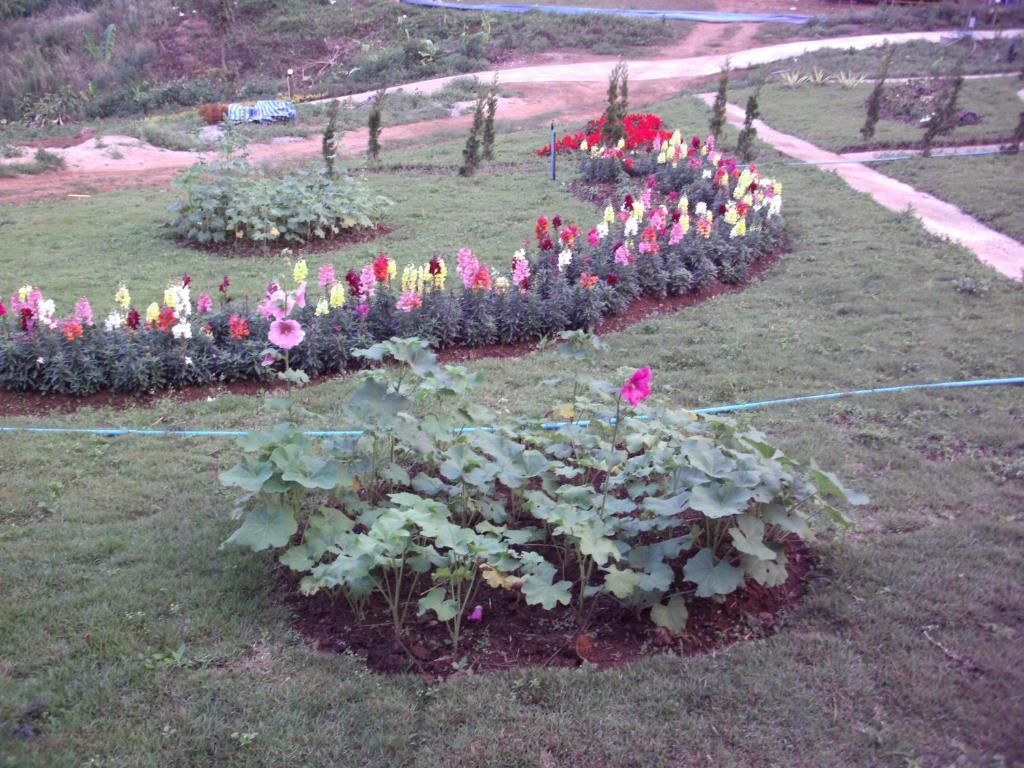 Phu Mok Dok Mai Resort Wiang Kaen Luaran gambar