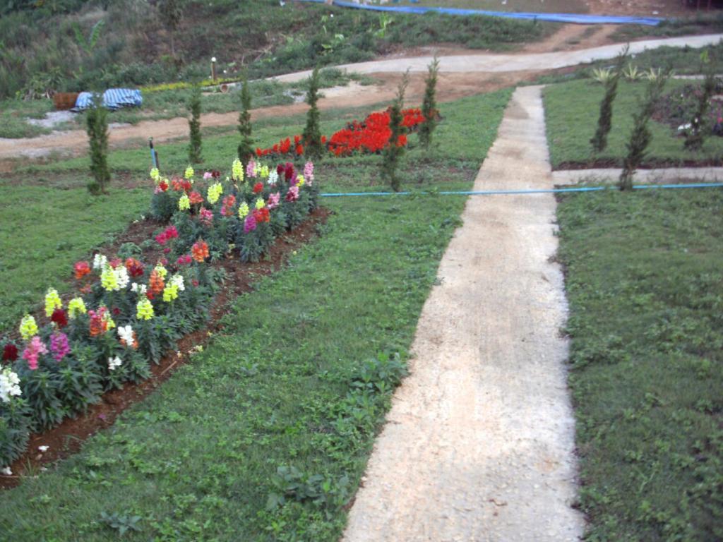 Phu Mok Dok Mai Resort Wiang Kaen Luaran gambar